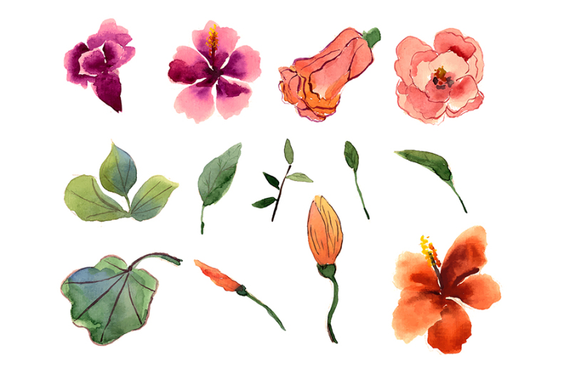 hibiscus-watercolor