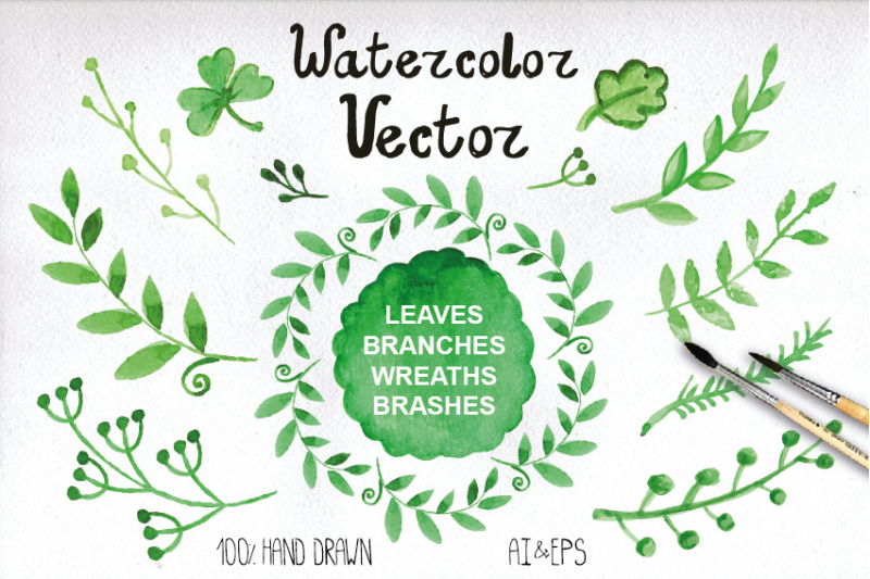 watercolor-green-branches-vector