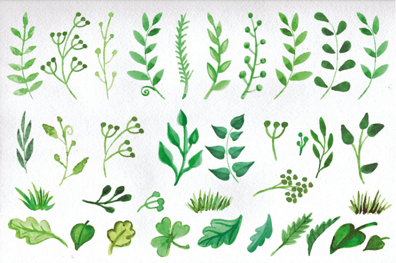 watercolor-green-branches-vector