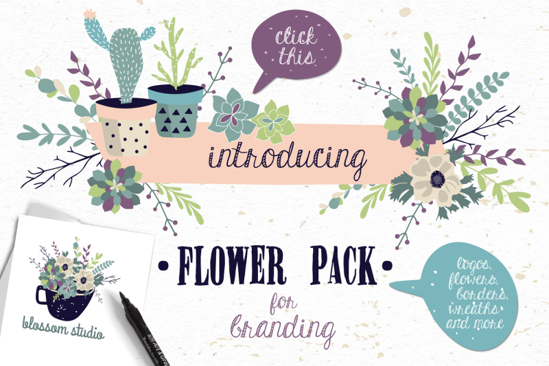 flower-pack-with-succulents