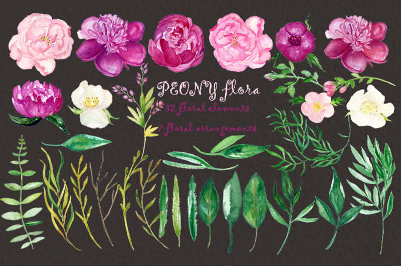 peony-flora-watercolor-clipart-garden-purple-flowers