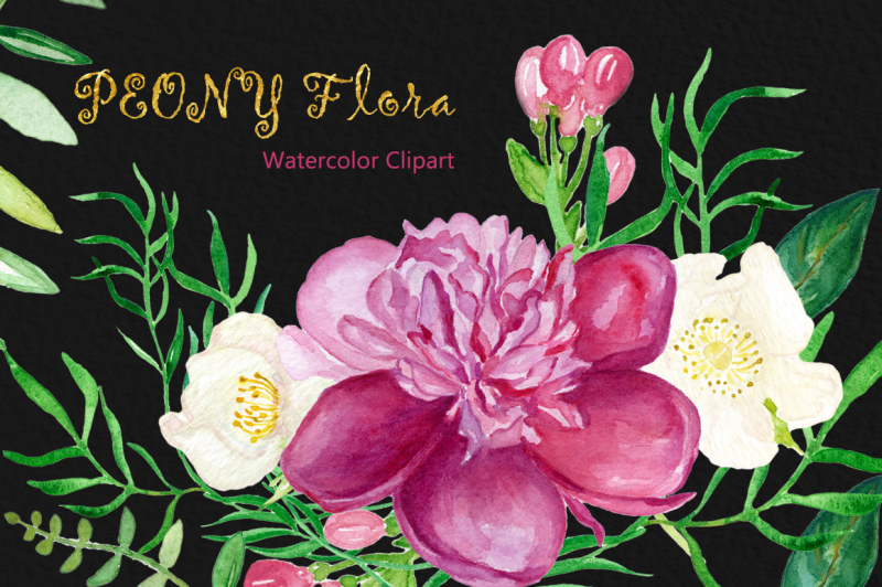 peony-flora-watercolor-clipart-garden-purple-flowers