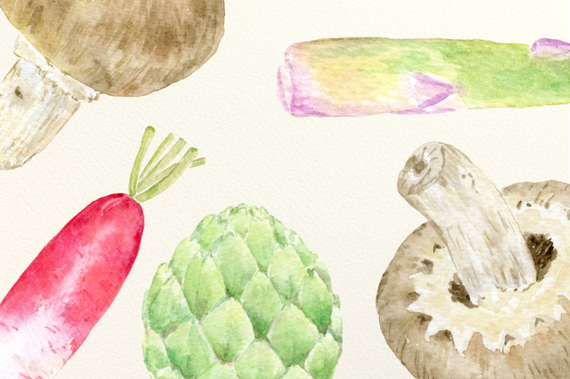 watercolor-vegetable-collection-6