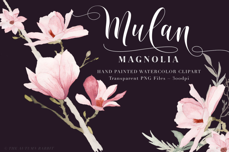 watercolor-magnolia-floral-clipart