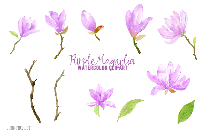 watercolor-purple-magnolia