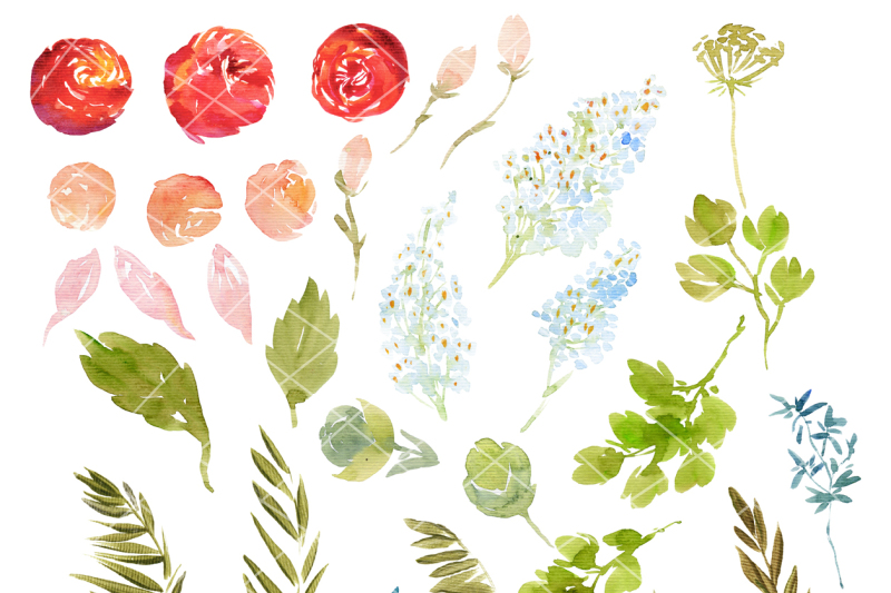 hand-painted-watercolor-flowers-clipart-set