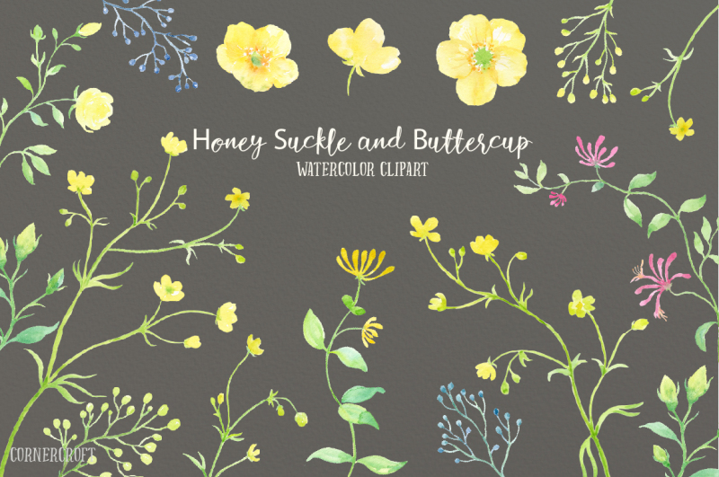 watercolor-honeysuckle-and-buttercup