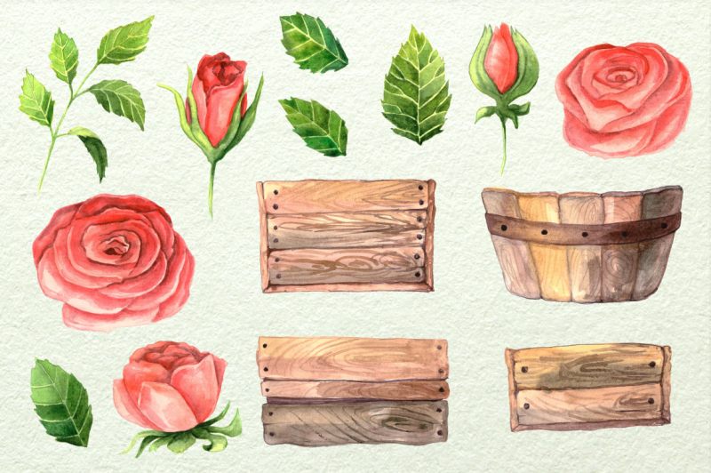 watercolor-roses-in-box-set