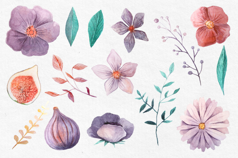 watercolor-violet-floral-clipart
