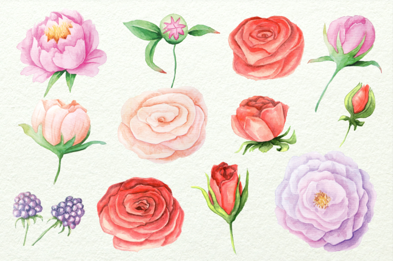 watercolor-floral-diy-set