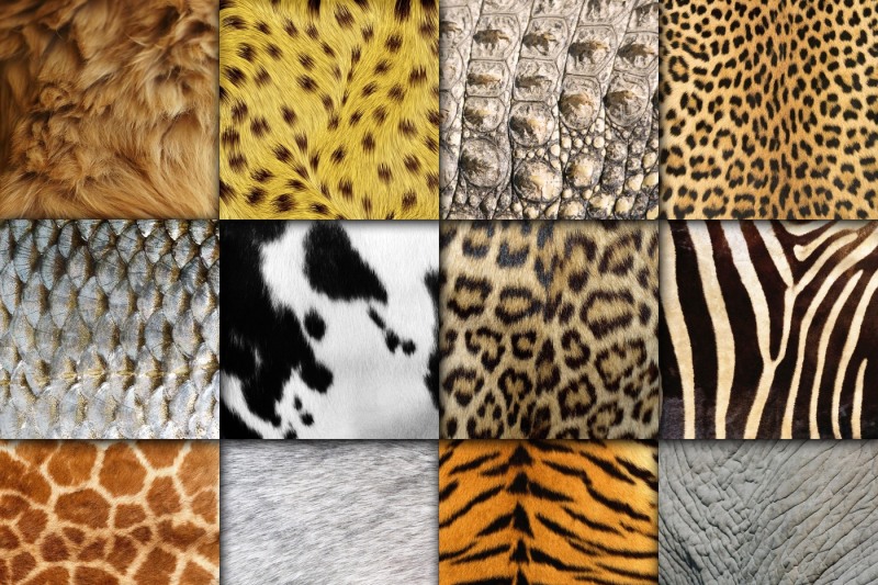 animal-skin-textures-digital-paper