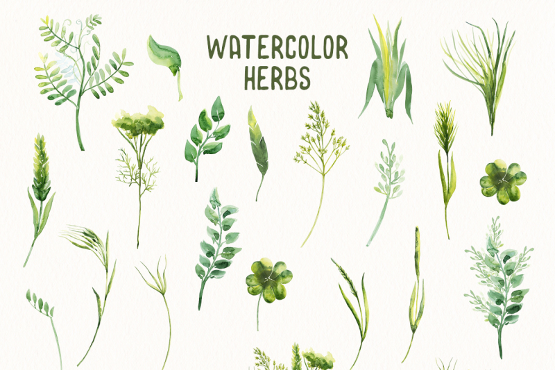 watercolor-herbs-vol-2