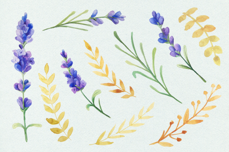 watercolor-lavender-clip-art