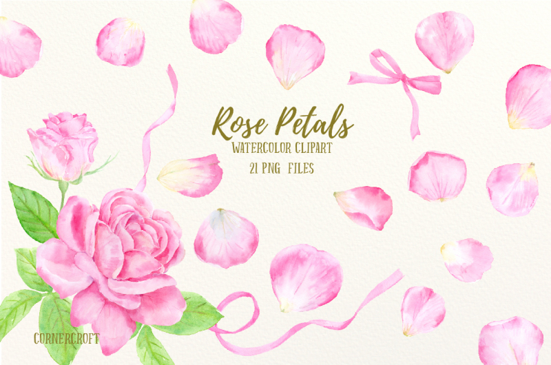 watercolor-pink-rose-petals
