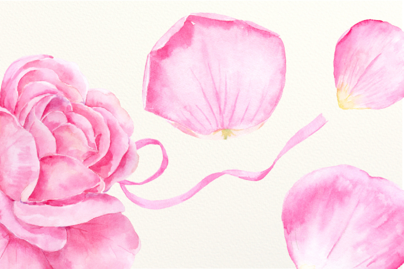 watercolor-pink-rose-petals