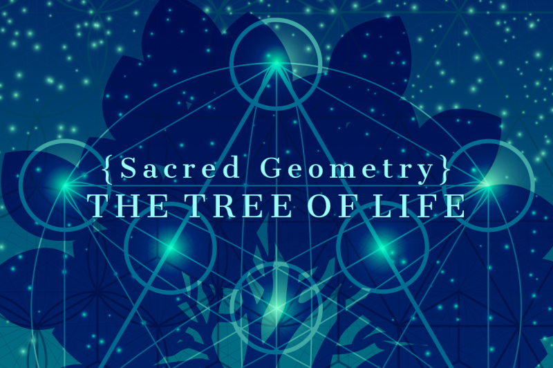 sacred-geometry-the-tree-of-life