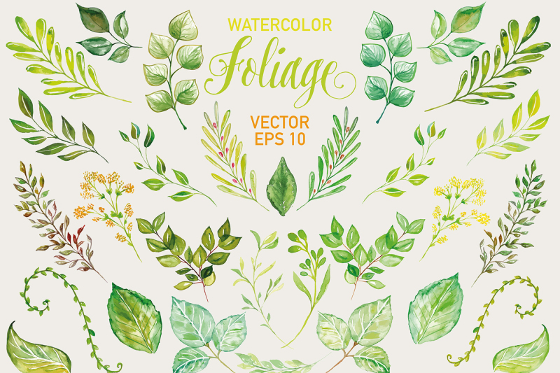 watercolor-foliage-collection