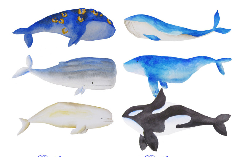 watercolor-whales