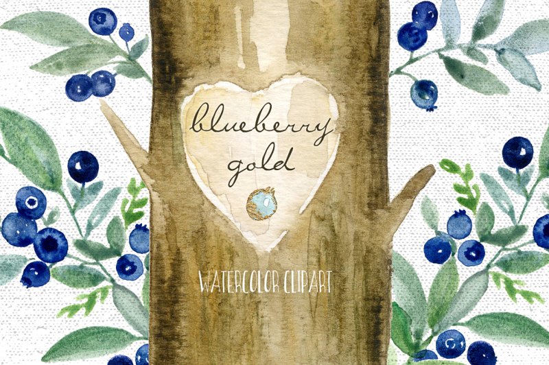blueberry-gold-watercolor-clipart
