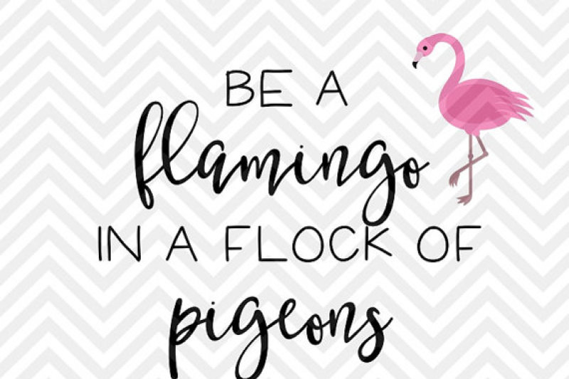 be-a-flamingo-in-a-flock-of-pigeons