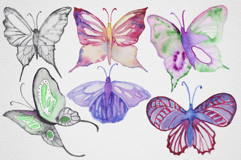 watercolor-butterfly-set-1