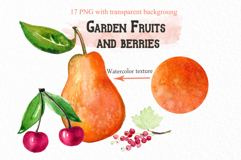 garden-fruits-and-berries-watercolor-clipart