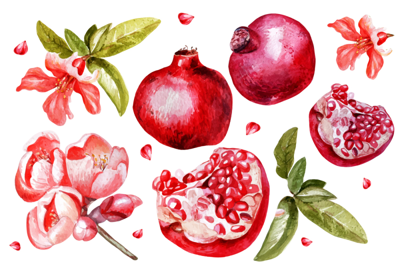 beautiful-watercolor-pomegranates