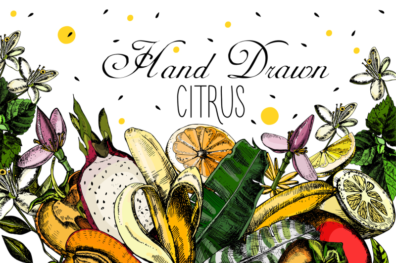 hand-drawn-citrus