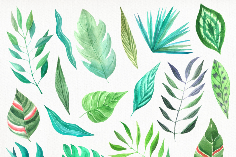 tropical-watercolor-greenery-set
