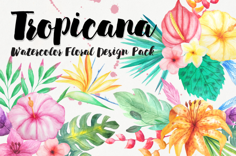 watercolor-tropical-floral-pack