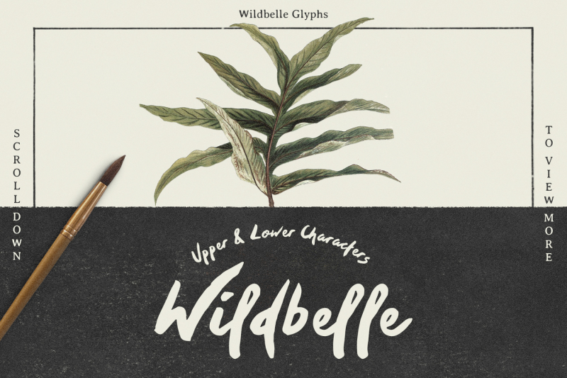 wildbelle-font