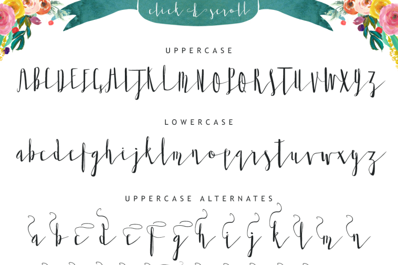twisted-willow-type-font-script-typeface-with-swashes-and-stylistic-alternates