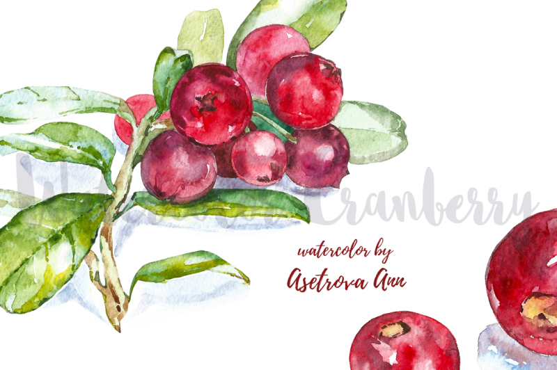 watercolor-cranberry