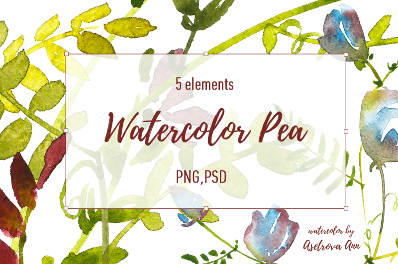 watercolor-pea-set