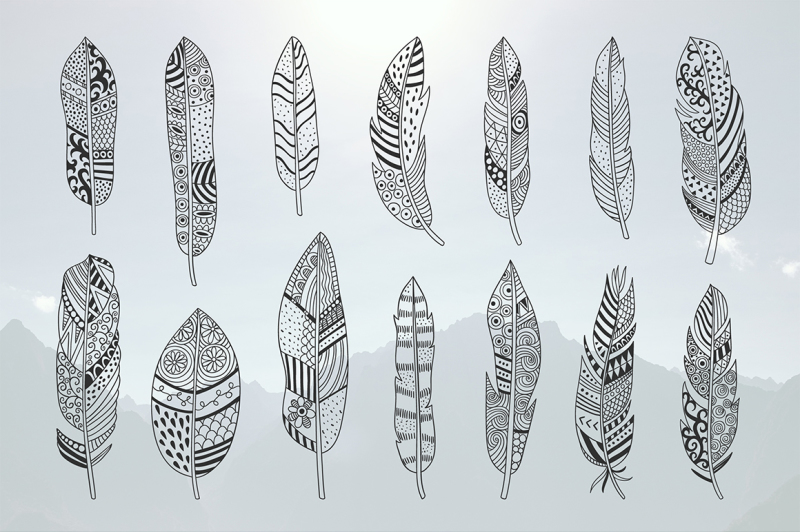 feather-collection