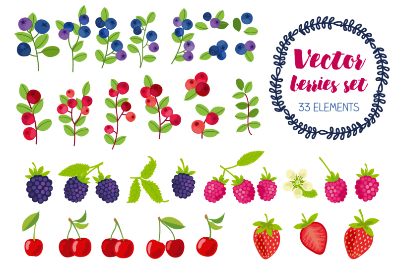 vector-berry-patterns