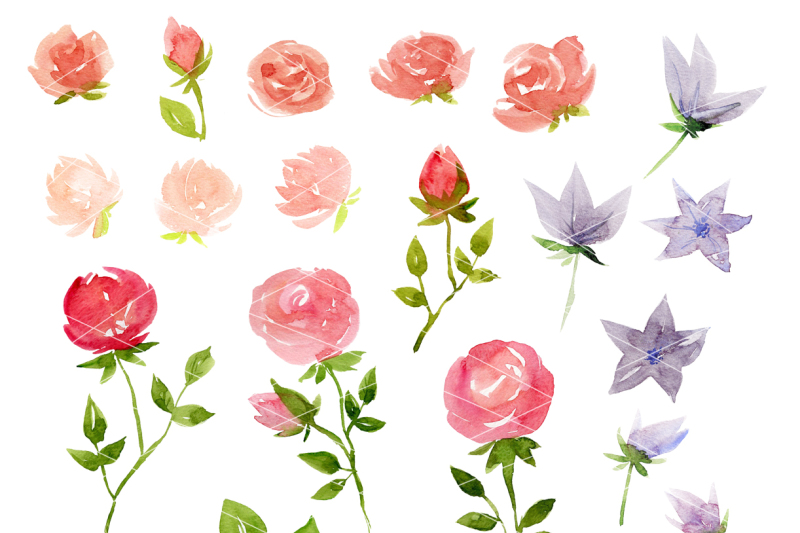 digital-watercolor-roses