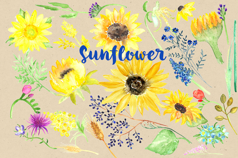 sunflower-watercolor-clip-art