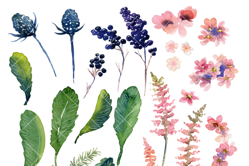 digital-watercolor-flowers-hand-painted-floral-clipart-countryside-florals