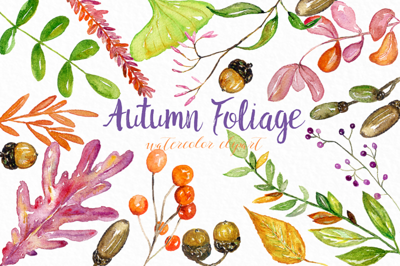 autumn-foliage-watercolor-clipart