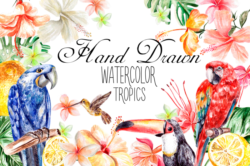hand-drawn-watercolor-tropics