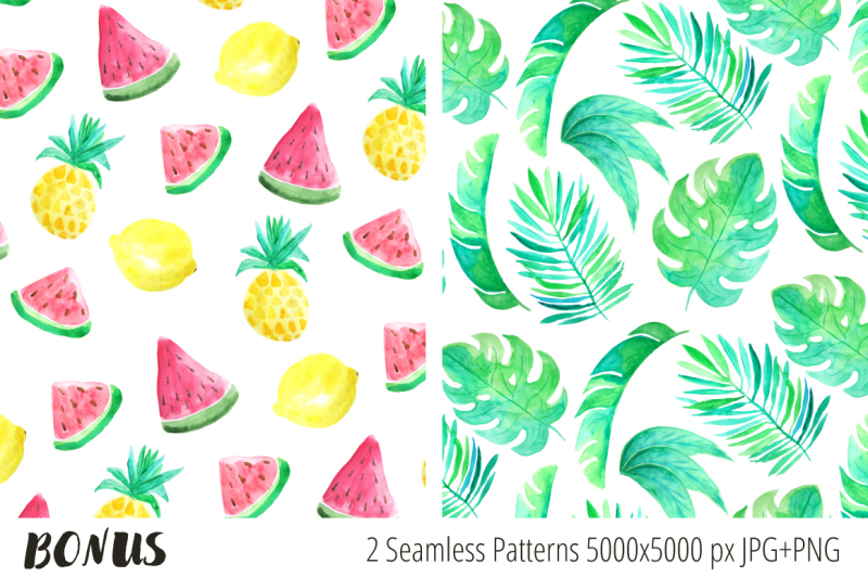 tropical-card-templates-set