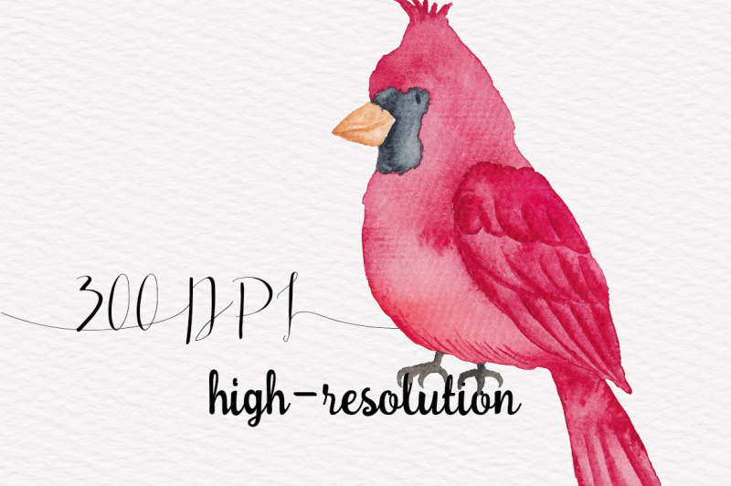 cute-birds-watercolor-collection