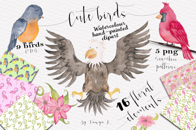 cute-birds-watercolor-collection