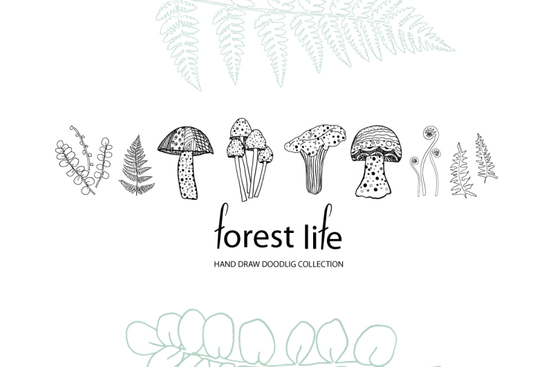 forest-life-doodle-ferns-and-mushrooms