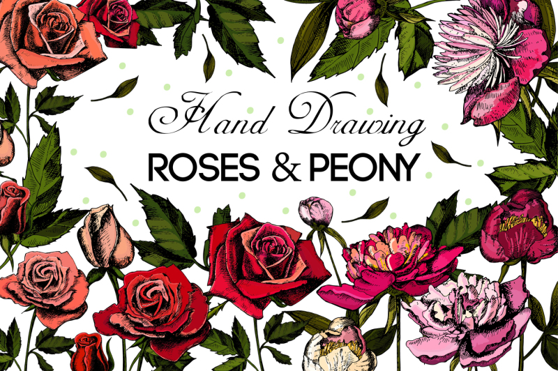 hand-drawing-roses-and-peonies