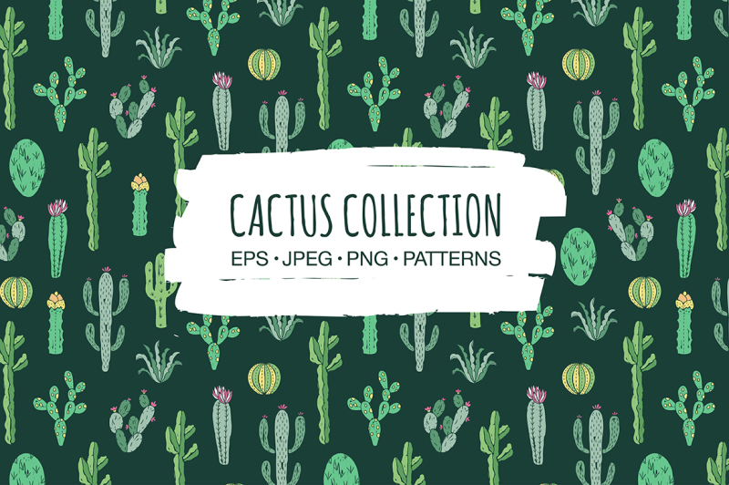 cactus-collection