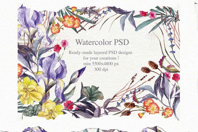 wild-flowers-watercolors-26-png