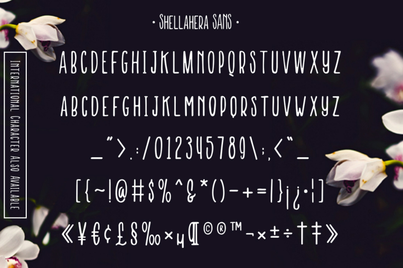 shellahera-typeface