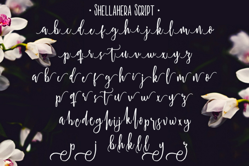 shellahera-typeface